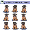 Find same pictures with cartoon brown puppies on maps.