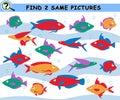 Find same pictures with colorful fish. Educational logical game for children.