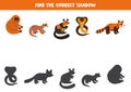 Find shadows of cute Asian animals. Educational logical game for kids.