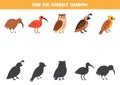 Find shadows of cute cartoon birds. Educational logical game for kids.