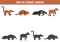 Find shadows of cute south American animals. Educational logical game for kids.