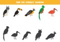 Find shadows of cute south American animals. Educational logical game for kids.