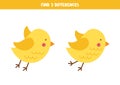 Find three differences between two cute birds.