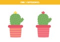 Find three differences between two cacti on pot.