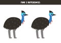 Find three differences between two pictures of cute cassowary. Game for kids