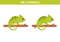 Find three differences between two pictures of cute chameleons. Game for kids