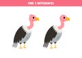 Find three differences between two pictures of cute vultures. Game for kids