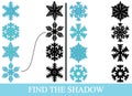 Find the true shadows silhouettes of snowflakes. Education Royalty Free Stock Photo