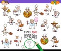 Find two identical chef characters game for kids