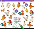 Find two identical chicken pictures game for kids