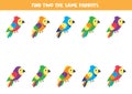 Find two identical colorful parrots. Educational game for kids Royalty Free Stock Photo