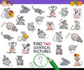 Find two identical mice educational activity