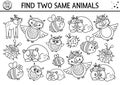 Find two same animals. Mothers day black and white matching activity for children. Funny spring logical quiz worksheet for kids.