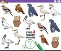 Find two same cartoon birds educational game