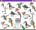Find two same cartoon birds educational task