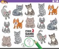 Find two same cartoon cats characters educational game