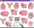 Find two same cartoon pigs farm animals educational game Royalty Free Stock Photo