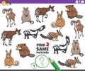 Find two same cartoon wild animals educational task