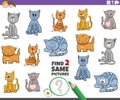 Find two same cat characters game for children Royalty Free Stock Photo