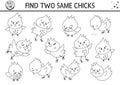 Find two same chicks. Easter black and white matching activity for children. Funny spring educational logical quiz worksheet for