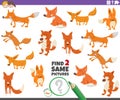 Find two same foxes educational game for children