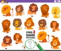 Find two same lions educational game for children