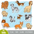 Find two the same pictures, education game. Set of cartoon dogs