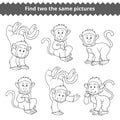 Find two the same pictures, game for children, monkey