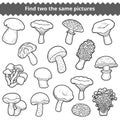 Find two the same pictures, set of mushrooms