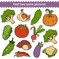 Find two same pictures. Vector set of vegetables
