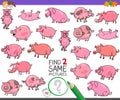 Find two same pigs characters game for kids Royalty Free Stock Photo