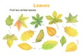 Find two similar leaves educational activity for children, fall autumn puzzle game, simple watercolor illustration worksheet