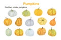 Find two similar pumpkins educational activity for children, fall autumn puzzle game, simple watercolor illustration worksheet for