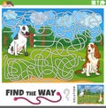 find the way maze game with cartoon purebred dogs