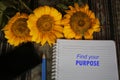 Find your purpose inspirational words on notebook paper with yellow flowers on classic tablecloth background