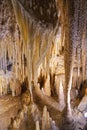 MOLE CREEK CAVES TASMANIA