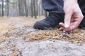 Finding a bunch of keys on a forest path