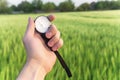 Finding a direction in nature on a wheat field. A man`s hand holds a compass