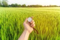 Finding a direction in nature on a wheat field. A man`s hand holds a compass