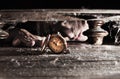 Finding the lost time watch Royalty Free Stock Photo