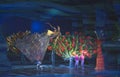 Finding Nemo Play at Disney World Royalty Free Stock Photo
