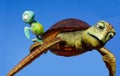 Finding Nemo Turtle Pixar Character Royalty Free Stock Photo