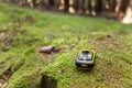 Finding the right position in the forest with a gps Royalty Free Stock Photo