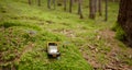 Finding the right position in the forest with a gps Royalty Free Stock Photo