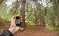 Finding the right position in the forest via gps ( blurred background) Royalty Free Stock Photo