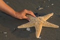 Finding a Seastar Royalty Free Stock Photo