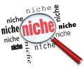 Finding a Targeted Niche - Magnifying Glass Royalty Free Stock Photo