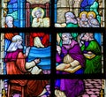 Finding in the Temple - Stained Glass