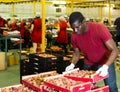 Fine african american male loader carrying box