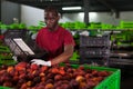 Fine African worker loading nectarines